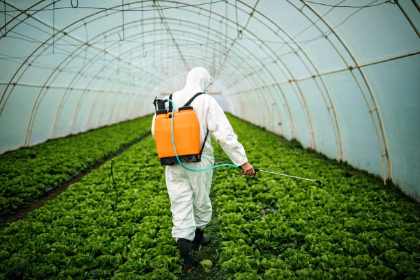 Pest Control for Restaurants in Douglas, WY