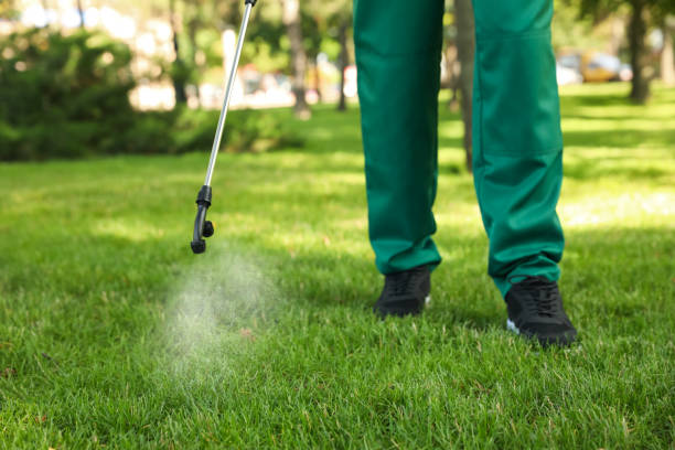 Best Flea Control Services  in Douglas, WY